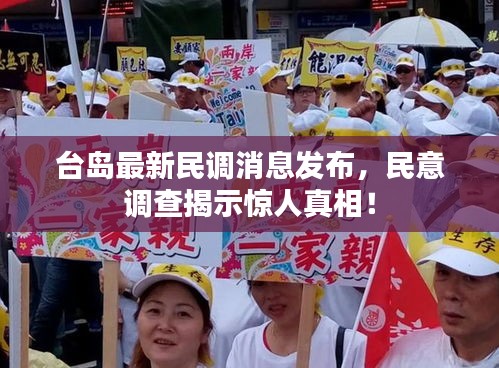 台岛最新民调消息发布，民意调查揭示惊人真相！