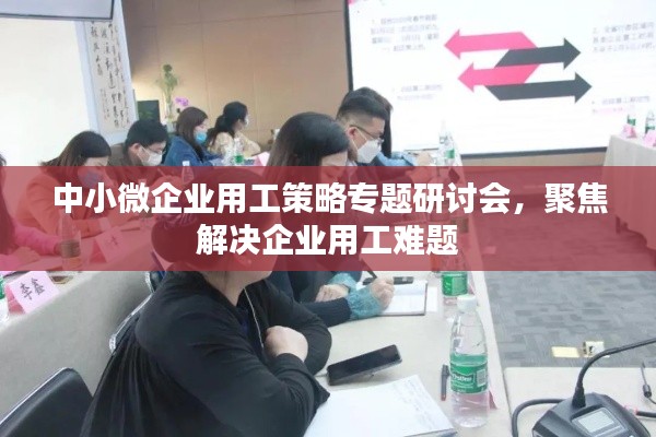 中小微企业用工策略专题研讨会，聚焦解决企业用工难题