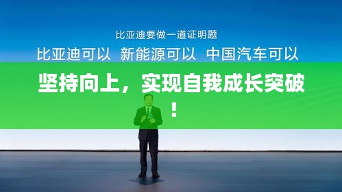 坚持向上，实现自我成长突破！