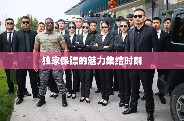 独家保镖的魅力集结时刻
