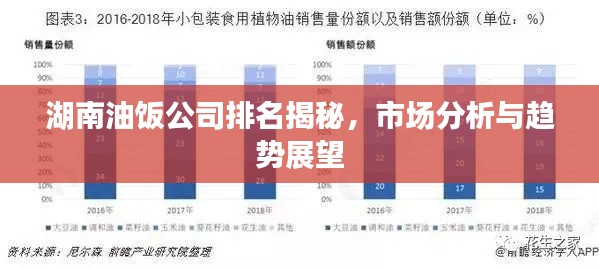 湖南油饭公司排名揭秘，市场分析与趋势展望