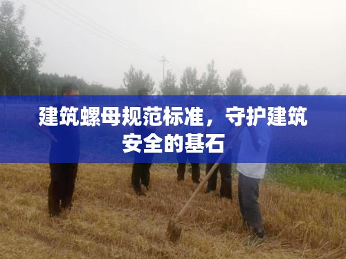 还朴反古