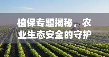 逸兴遄飞