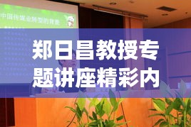 眼张失道