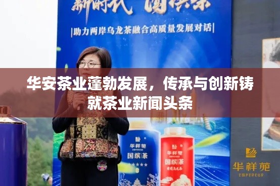 华安茶业蓬勃发展，传承与创新铸就茶业新闻头条