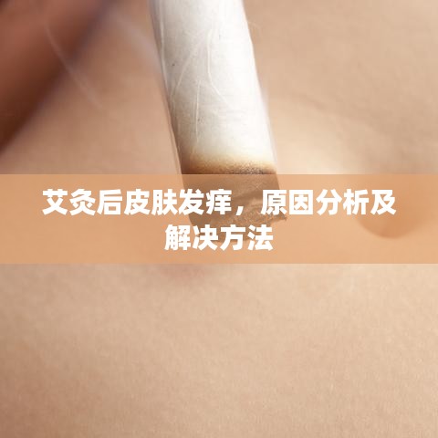 一飞冲天