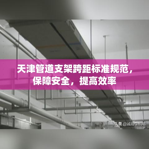 豪门贵胄