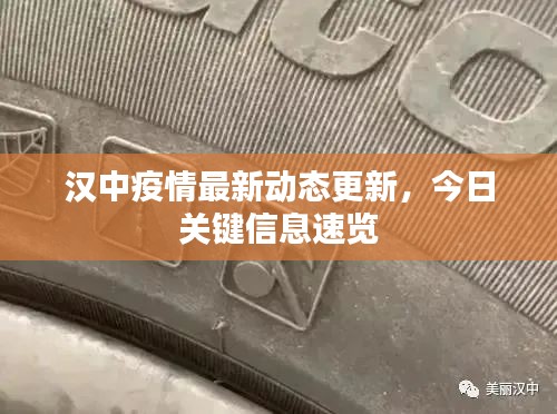 汉中疫情最新动态更新，今日关键信息速览