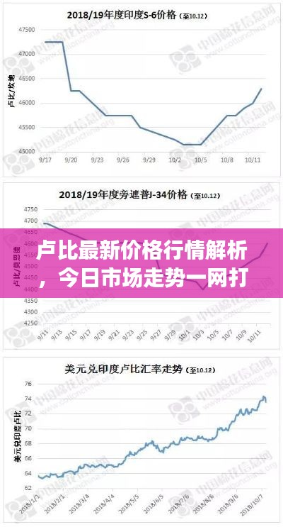 候鸟南飞