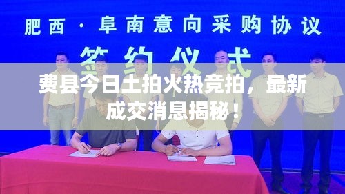 水静河飞