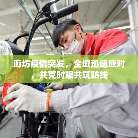 廊坊疫情突发，全城迅速应对，共克时艰共筑防线