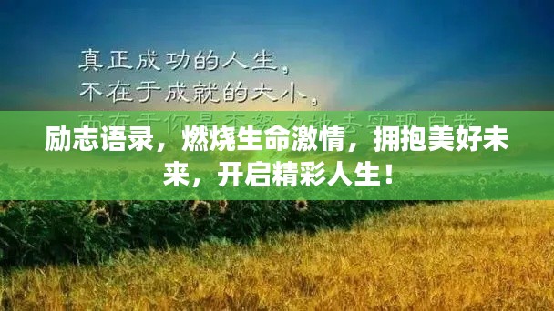 采椽不斫