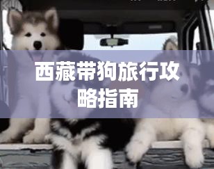 西藏带狗旅行攻略指南