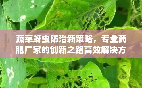 事必躬亲