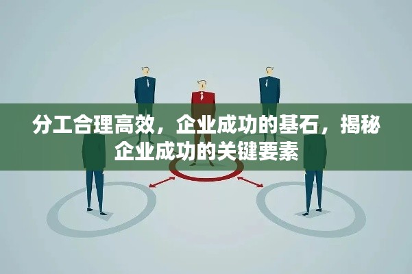 分工合理高效，企业成功的基石，揭秘企业成功的关键要素