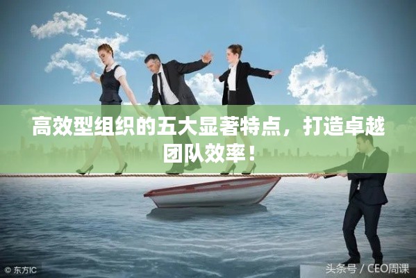 高效型组织的五大显著特点，打造卓越团队效率！