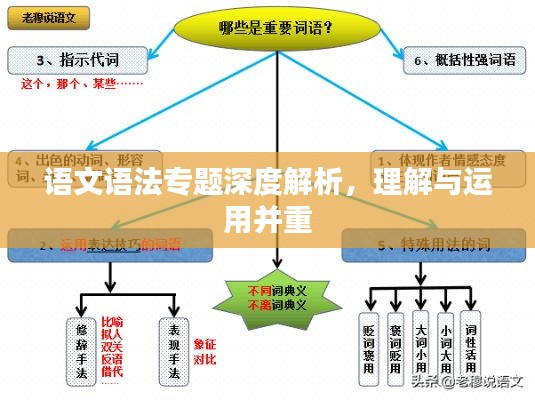语文语法专题深度解析，理解与运用并重