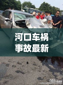 河口车祸事故最新消息报道