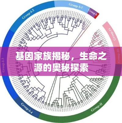 基因家族揭秘，生命之源的奥秘探索