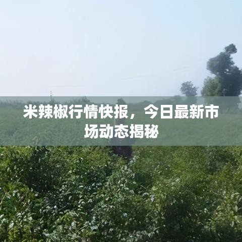 如花似玉