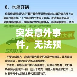 奔走如飞