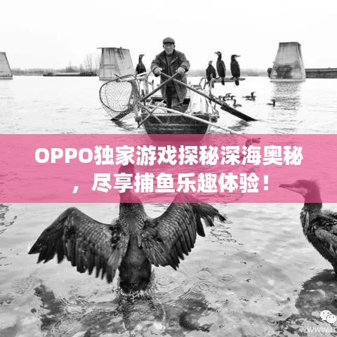 业业兢兢