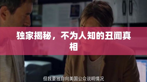 偷工减料