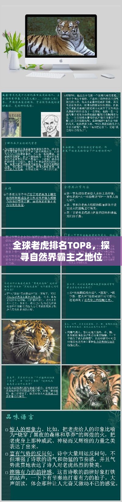 全球老虎排名TOP8，探寻自然界霸主之地位