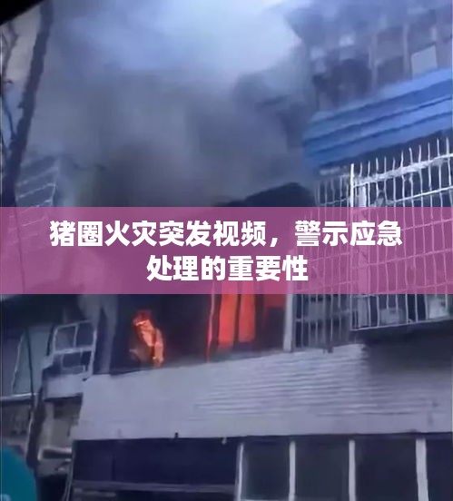 猪圈火灾突发视频，警示应急处理的重要性