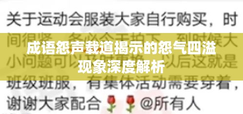 成语怨声载道揭示的怨气四溢现象深度解析