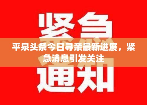 平泉头条今日寻亲最新进展，紧急消息引发关注