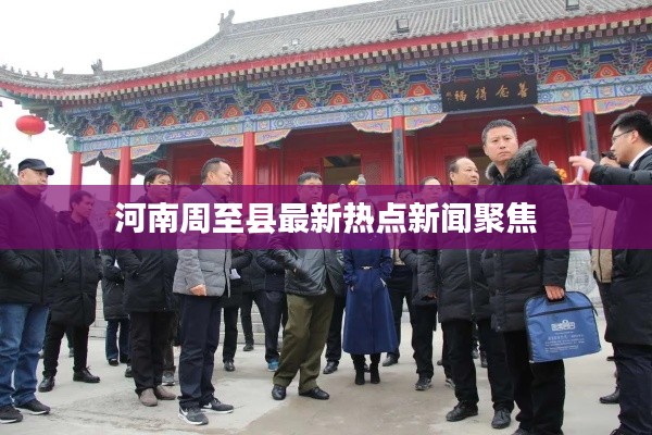 河南周至县最新热点新闻聚焦