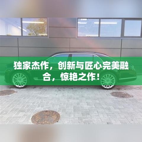 独家杰作，创新与匠心完美融合，惊艳之作！