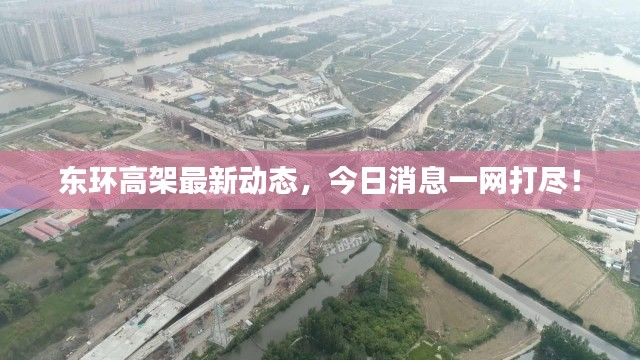 神采飞扬