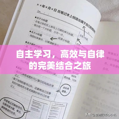 程门飞雪