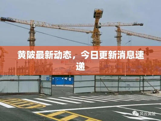 黄陂最新动态，今日更新消息速递