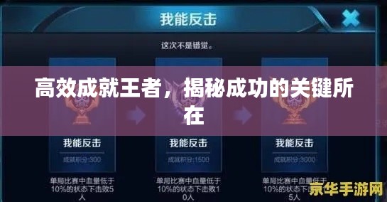 高效成就王者，揭秘成功的关键所在