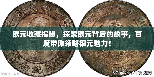 银元收藏揭秘，探索银元背后的故事，百度带你领略银元魅力！