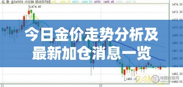 今日金价走势分析及最新加仓消息一览