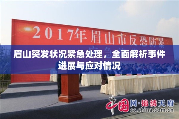 眉山突发状况紧急处理，全面解析事件进展与应对情况