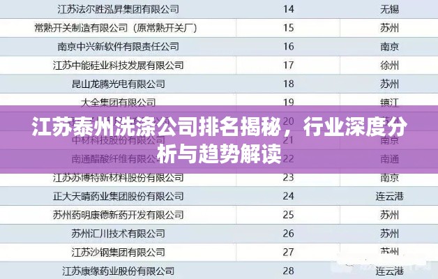 江苏泰州洗涤公司排名揭秘，行业深度分析与趋势解读