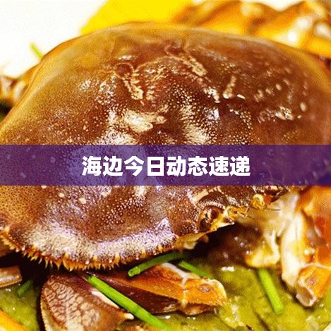 海边今日动态速递
