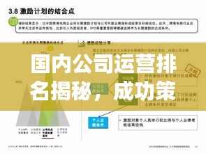 国内公司运营排名揭秘，成功策略与趋势洞察
