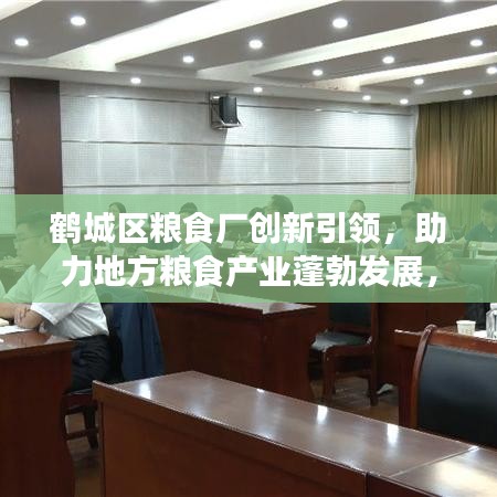 鹤城区粮食厂创新引领，助力地方粮食产业蓬勃发展，新闻头条重磅报道！