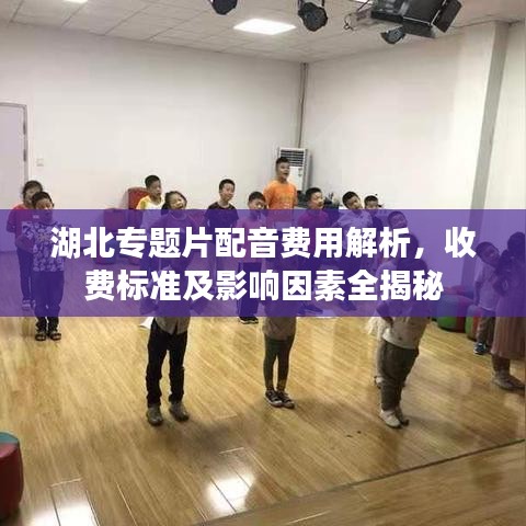 湖北专题片配音费用解析，收费标准及影响因素全揭秘