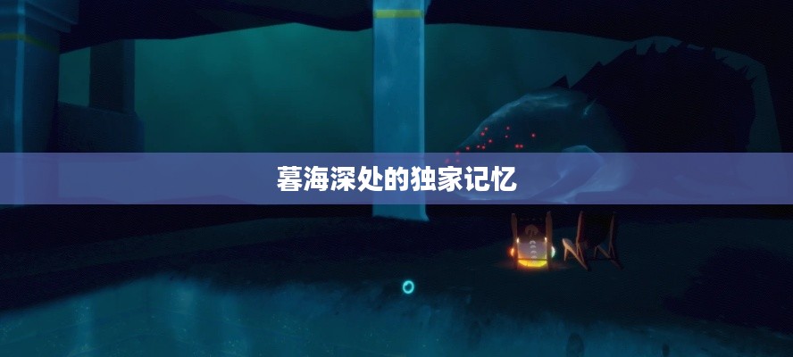 暮海深处的独家记忆