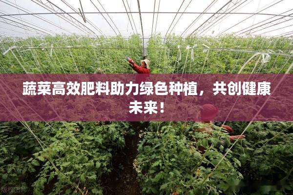 蔬菜高效肥料助力绿色种植，共创健康未来！
