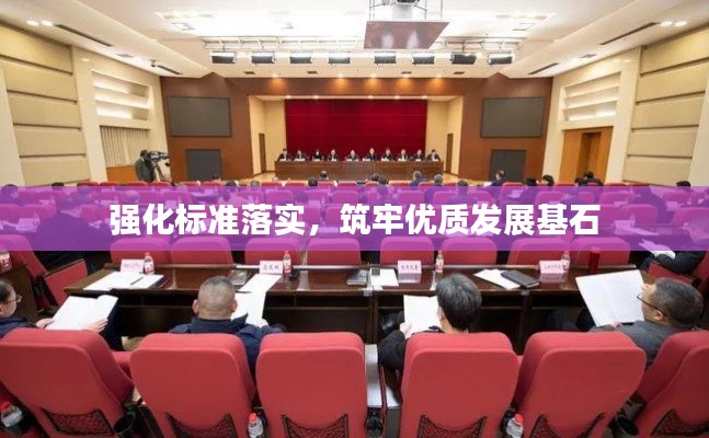强化标准落实，筑牢优质发展基石