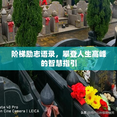 阶梯励志语录，攀登人生高峰的智慧指引