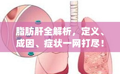 脂肪肝全解析，定义、成因、症状一网打尽！